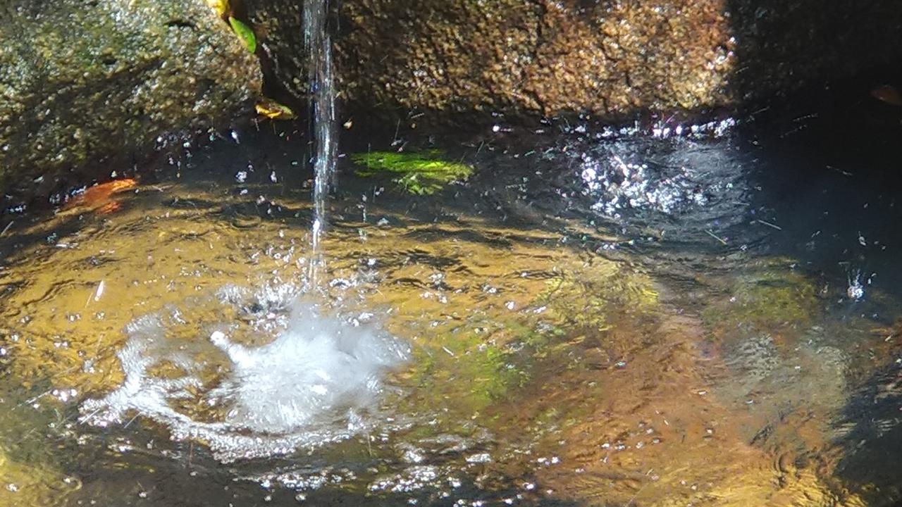 הוילה Casa Inteira Ilha Grande מראה חיצוני תמונה